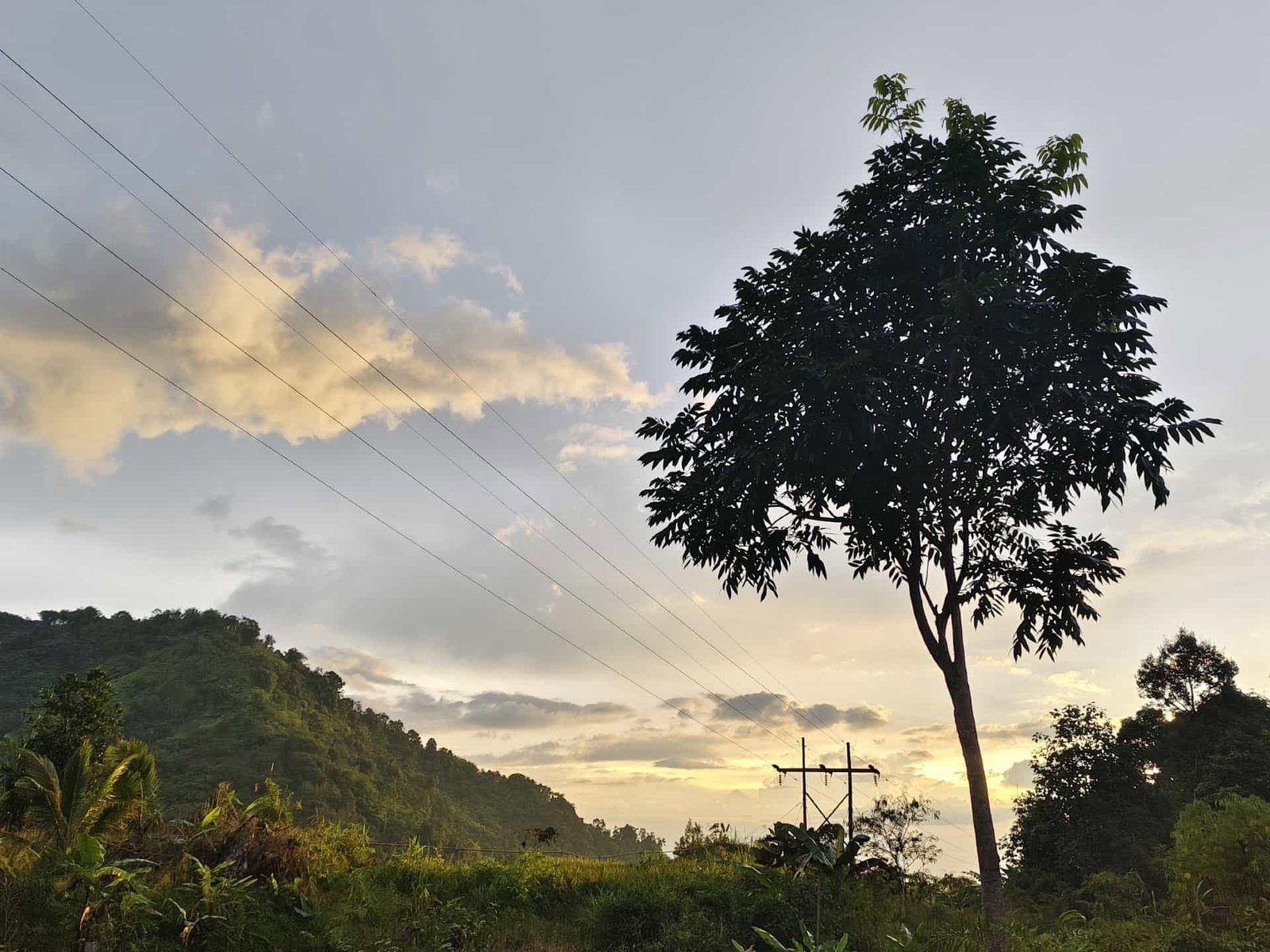 Featured Gallery Image